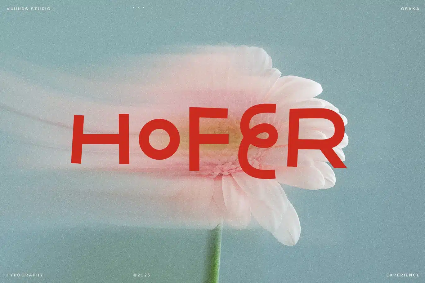 Hofer Font font preview