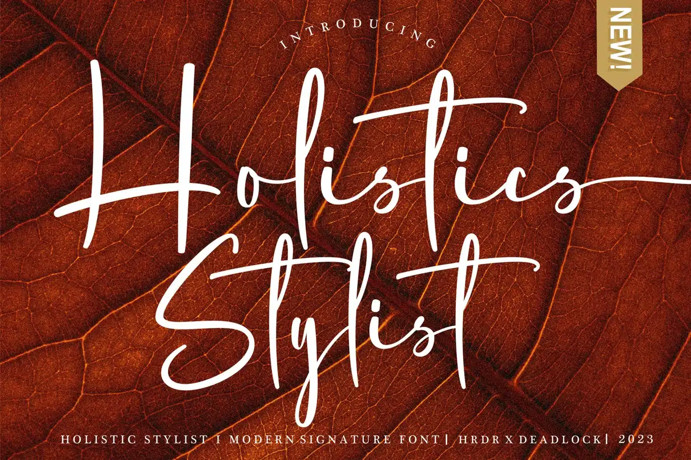 Holistics Stylist – Modern Signature font font preview