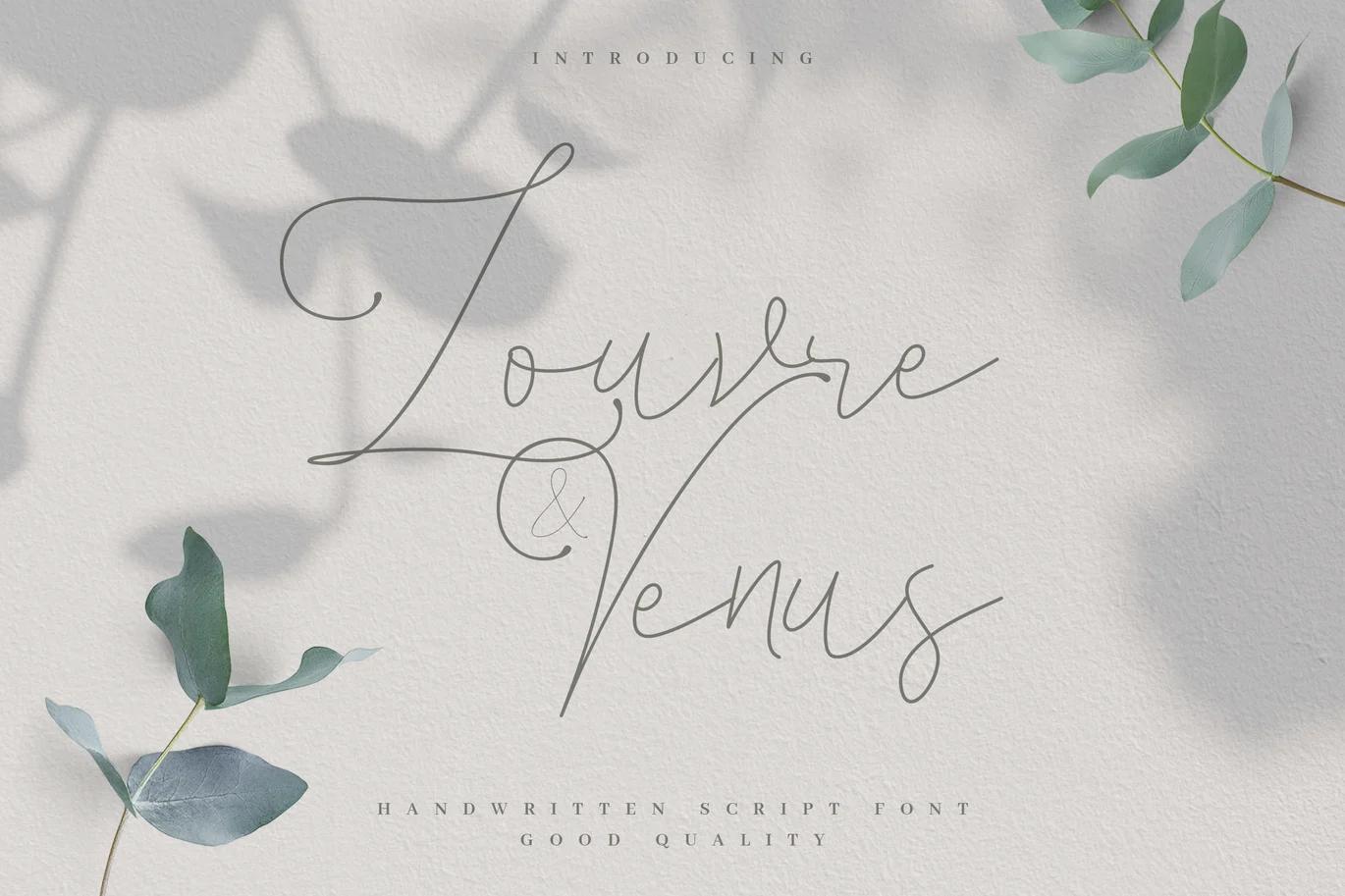 Louvre and Venus – Romantic Signature Font font preview