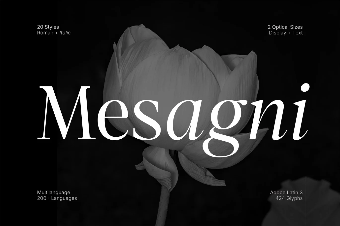 Mesagni Font font preview