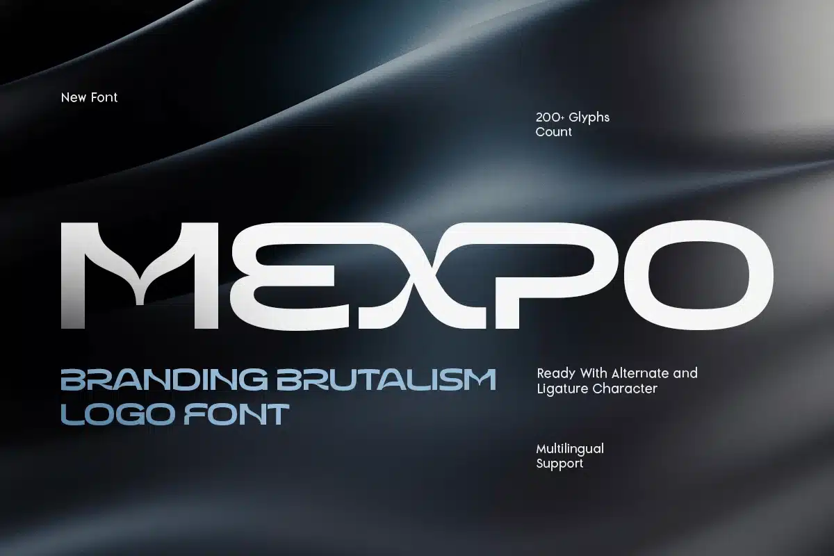 Mexpo – Branding Brutalism Logo Font font preview