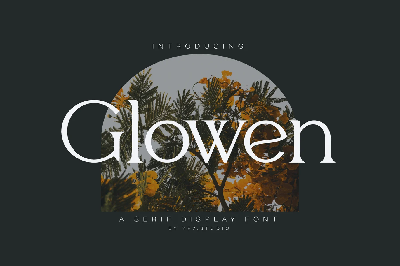 Modern Luxury Fashion Font font preview