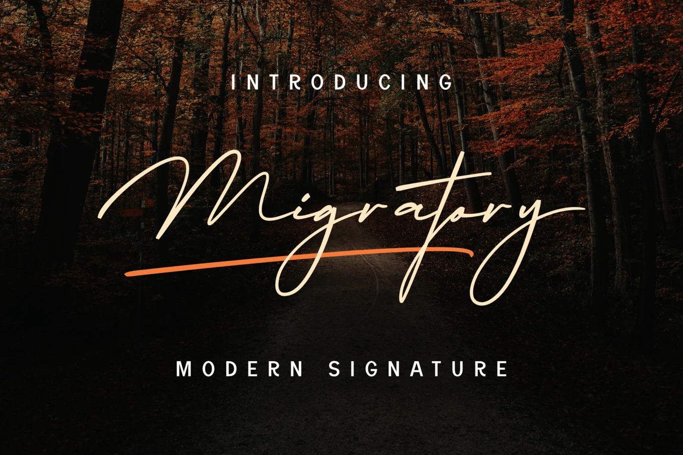 Modern Signature Script Elegant Luxury Font TNI font preview