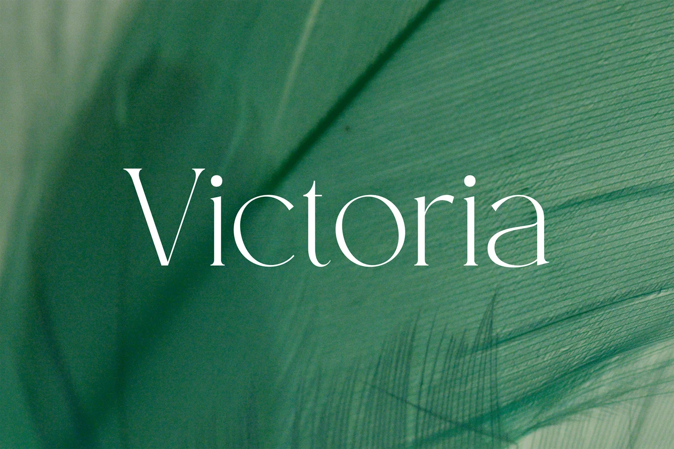 Modern Thin Serif Fashion Font font preview