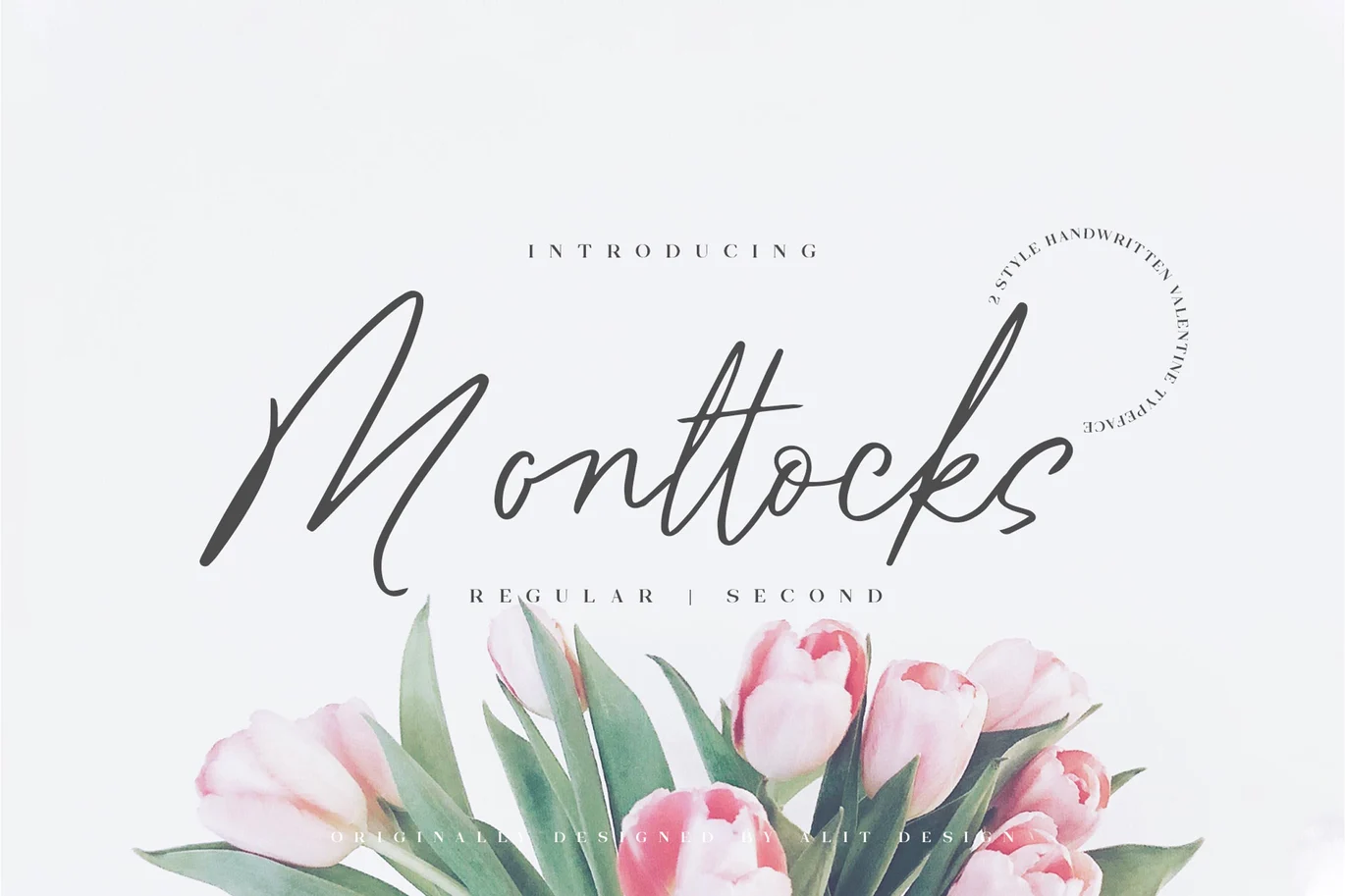 Monttocks Script Font font preview