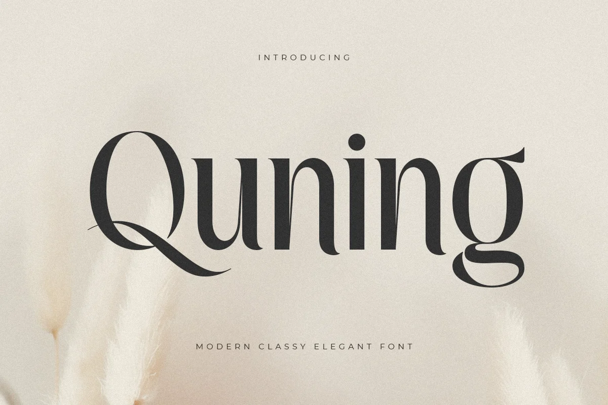 Quning – Modern Classy Elegant Font font preview