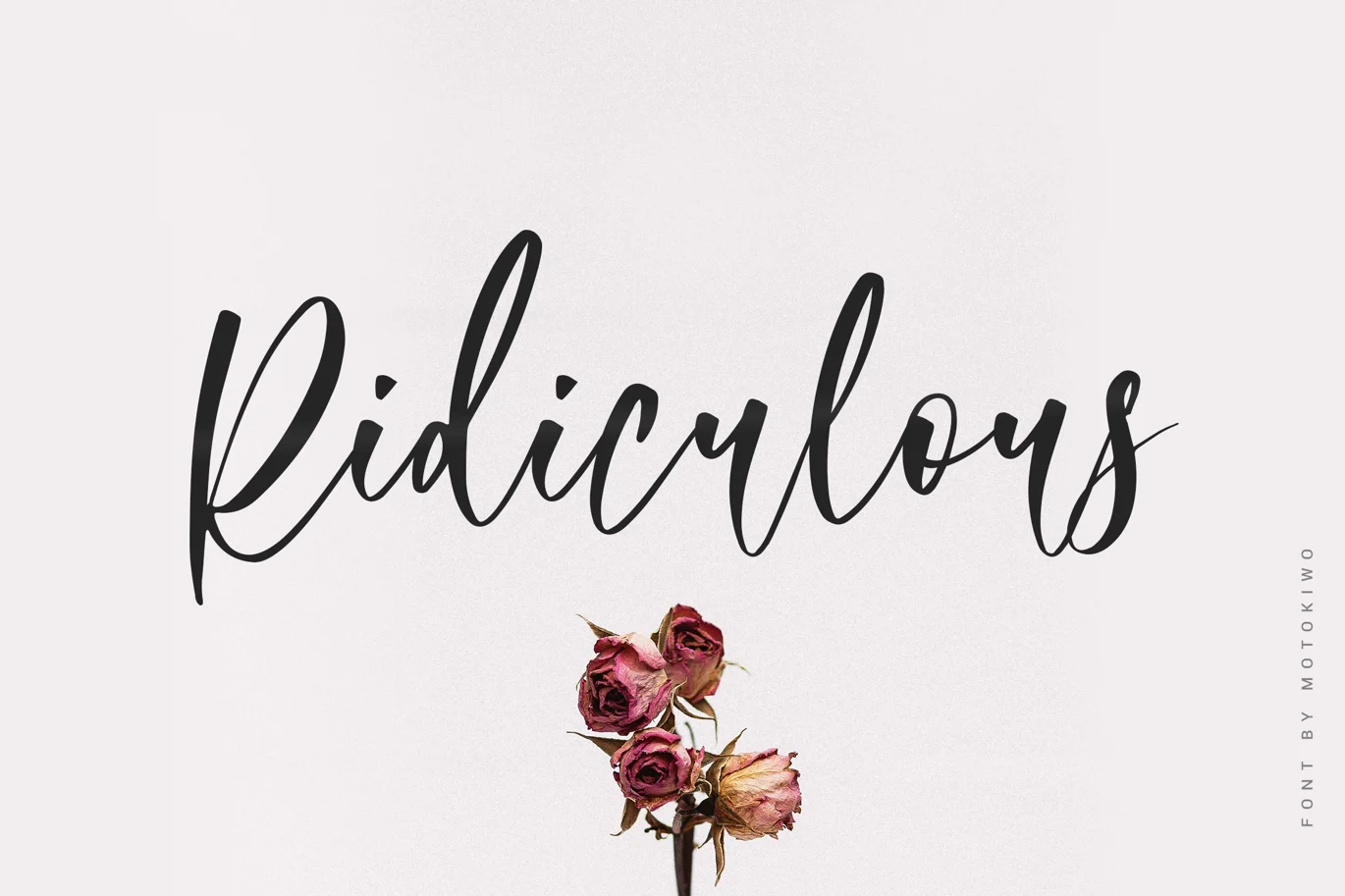 Ridiculous – Romantic Script Font font preview