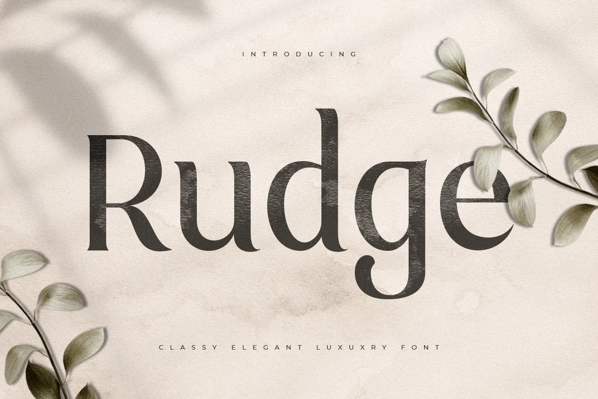 Rudge – Classy Elegant Luxury Font font preview