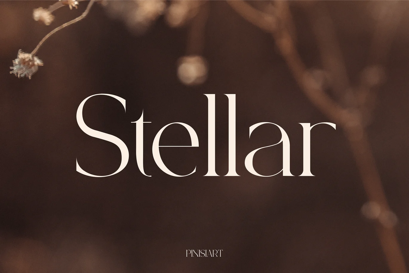 Stellar – Modern Luxury Font font preview