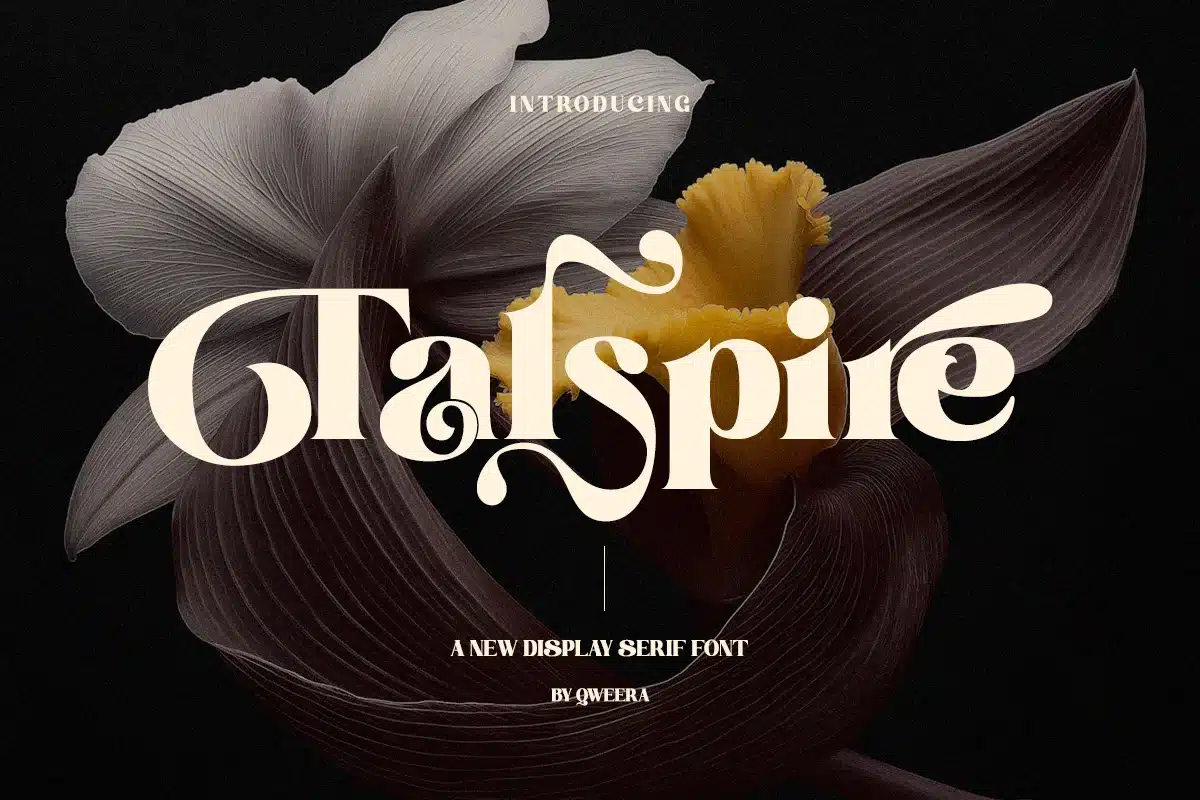Talspire – Elegant Display Serif Branding Font font preview