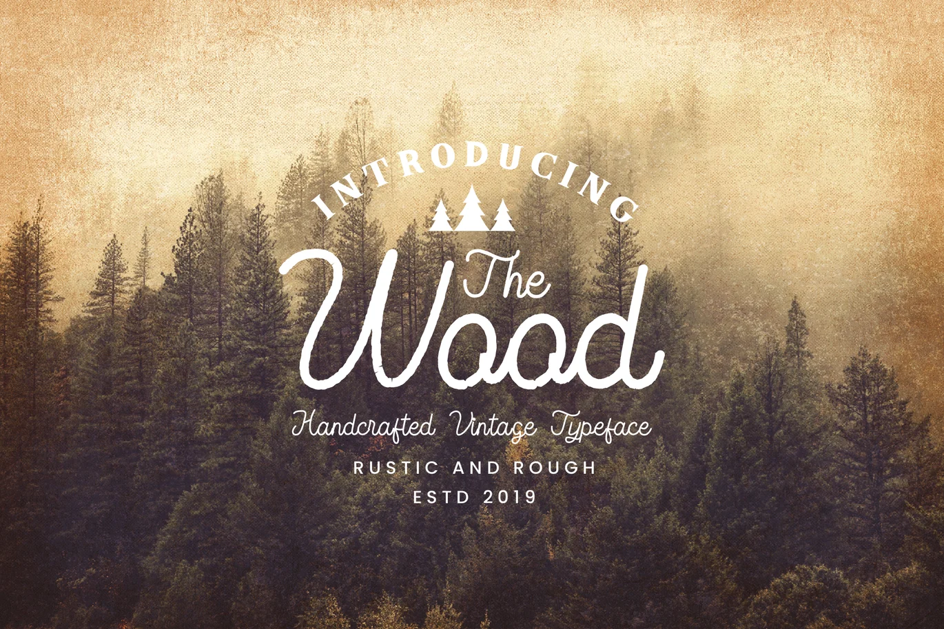 The Wood – Vintage Monoline Script Font font preview
